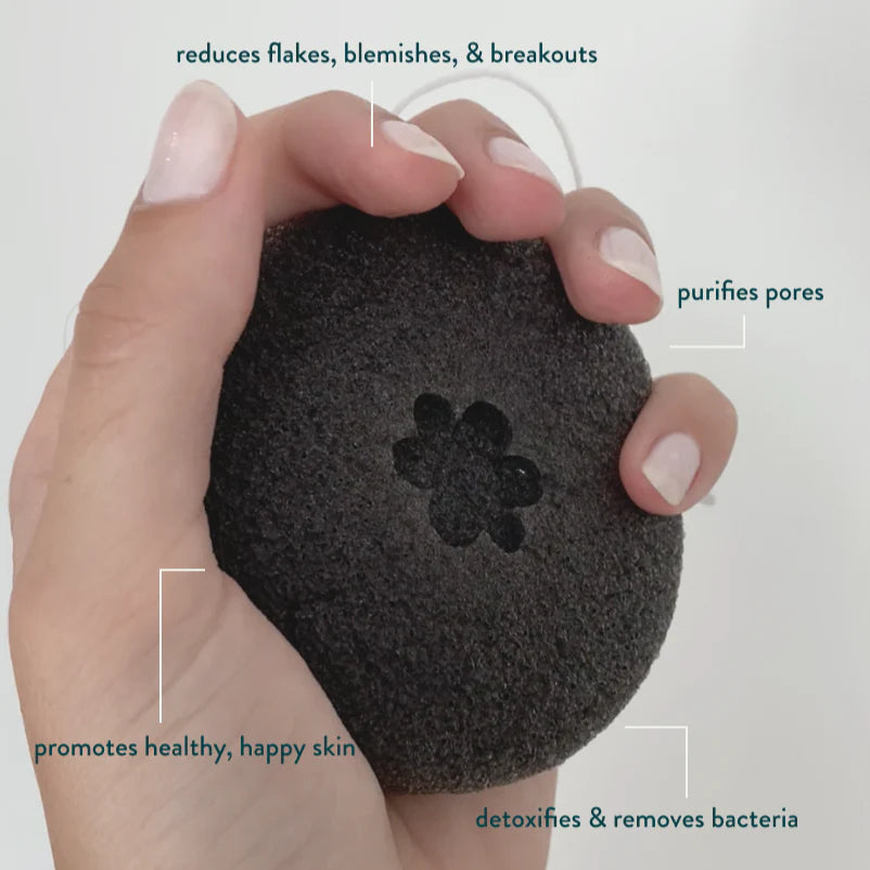 A hand holding a black konjac facial sponge.